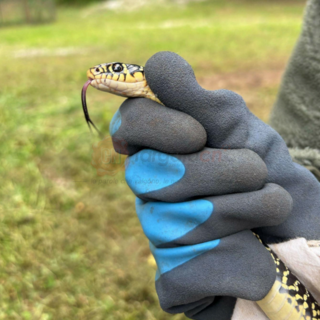 Salvataggio speciale alla scuola dell'infanzia "M. Ventre" di frazione Ronchi a Cuneo