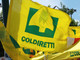 Finanziaria, Coldiretti Cuneo: bonus verde prorogato per 3 anni