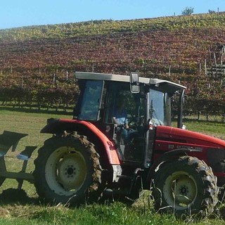 Reti d'impresa e marketing digitale, Cia Cuneo: "Aiuti concreti per le aziende agricole dagli ultimi due bandi della Camera di Commercio"