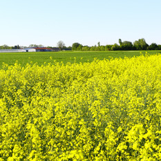 Immagine di repertorio