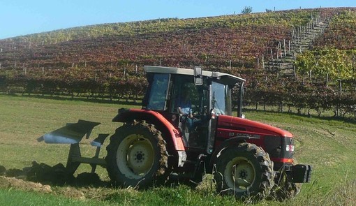 Reti d'impresa e marketing digitale, Cia Cuneo: "Aiuti concreti per le aziende agricole dagli ultimi due bandi della Camera di Commercio"