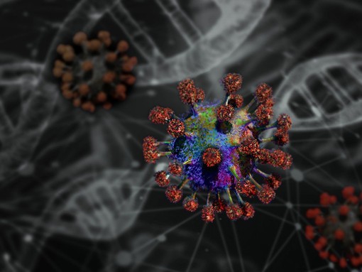 Hantavirus: cosa sapere e come proteggersi, dall’Iss le risposte alle domande più frequenti