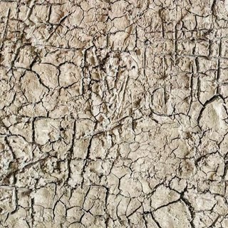 Langa Cruda: Sara Melis espone a Monforte d'Alba Langa Cruda: Sara Melis espone a Monforte d'Alba