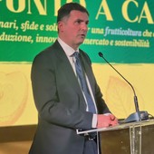 Claudio Sacchetto