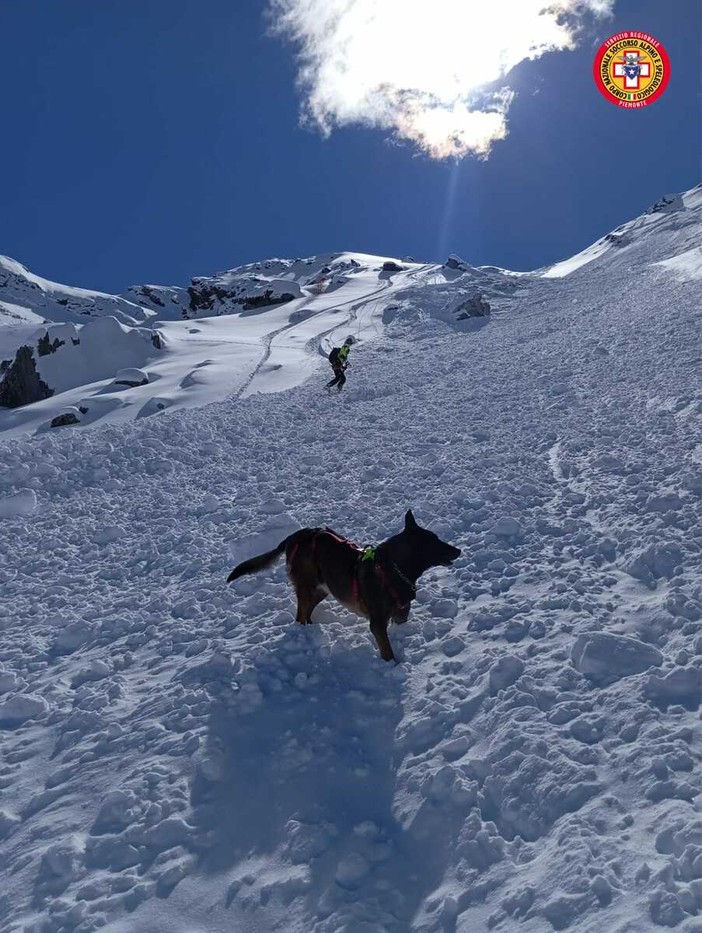 Neve abbondante sulle Alpi liguri e marittime: unità cinofila da valanga operativa già da domani a Levaldigi Neve abbondante sulle Alpi liguri e marittime: unità cinofila da valanga operativa già da domani a Levaldigi