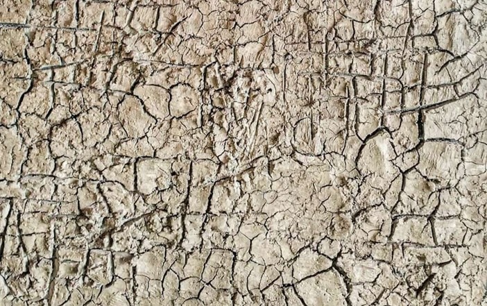 Langa Cruda: Sara Melis espone a Monforte d'Alba