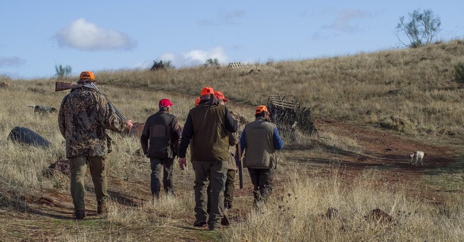 Fauna selvatica allo stremo dopo caldo, siccità e incendi: “Sospendere la caccia”