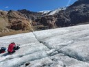 Le "pulci dei ghiacciai": ancora poco conosciute e già minacciate