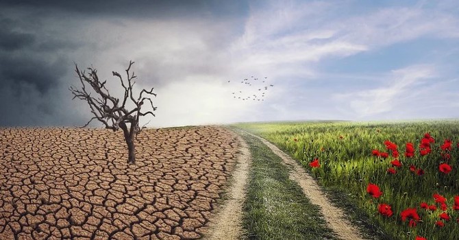 La cura del creato tra scienza e agricoltura: a Cherasco un confronto su cereali, allevamenti e clima