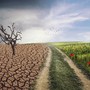 La cura del creato tra scienza e agricoltura: a Cherasco un confronto su cereali, allevamenti e clima