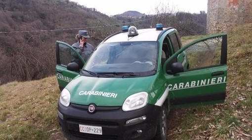 Bracconaggio, rifiuti illeciti, incendi boschivi: un anno in 42mila controlli per i Carabinieri Forestali piemontesi