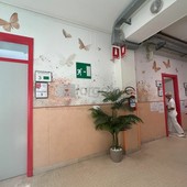 Ottobre Rosa, boom di richieste e linee intasate a Cuneo: il caso approda in Regione