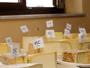 (Foto AgenForm-Consorzio)