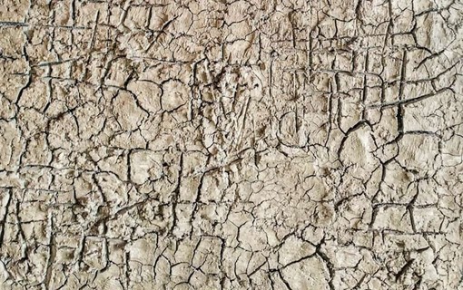 Langa Cruda: Sara Melis espone a Monforte d'Alba