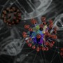 Hantavirus: cosa sapere e come proteggersi, dall’Iss le risposte alle domande più frequenti