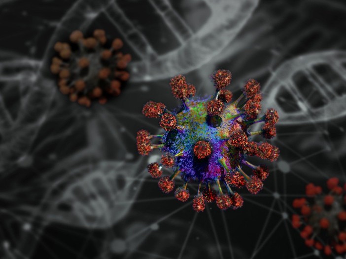 Hantavirus: cosa sapere e come proteggersi, dall’Iss le risposte alle domande più frequenti