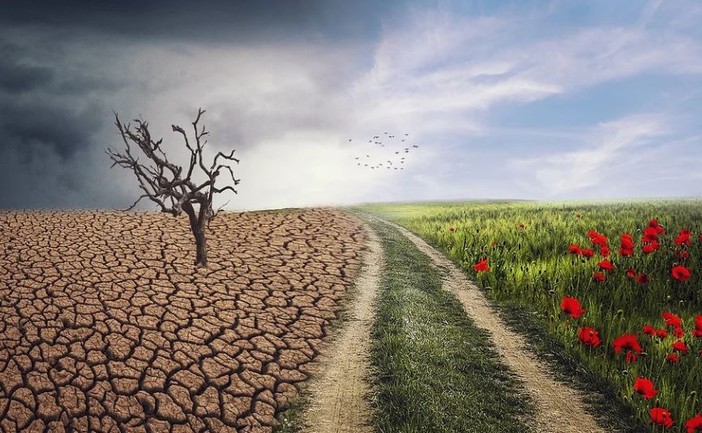 La cura del creato tra scienza e agricoltura: a Cherasco un confronto su cereali, allevamenti e clima