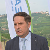 Pierpaolo Carini, presidente e amministratore delegato della multiservizi albese: i suoi difensori hanno chiesto il rito abbreviato