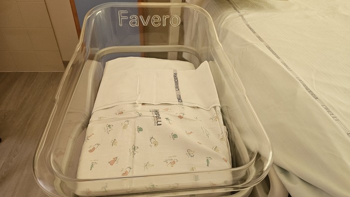 In progressiva crescita il fenomeno delle culle vuote e della denatalità In progressiva crescita il fenomeno delle culle vuote e della denatalità