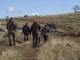 Fauna selvatica allo stremo dopo caldo, siccità e incendi: “Sospendere la caccia” Fauna selvatica allo stremo dopo caldo, siccità e incendi: “Sospendere la caccia”