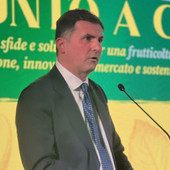Agricoltura e burocrazia, Sacchetto presenta un OdG in Regione: "Meno controlli duplicati per le aziende agricole"