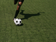 Come funzionano le quote nelle scommesse sportive: leggere probabilità, margine e valore reale