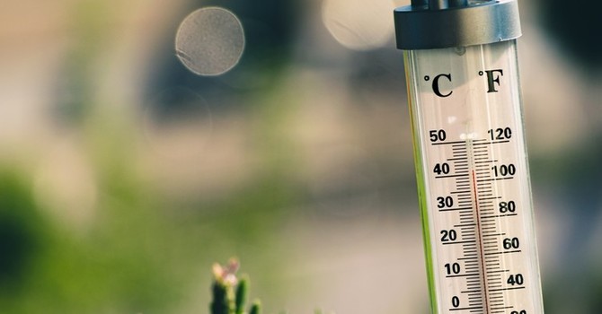 Ondate di calore: in arrivo un weekend da bollino rosso Ondate di calore: in arrivo un weekend da bollino rosso