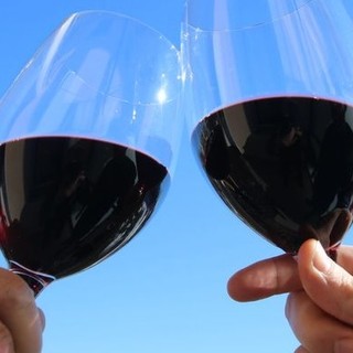 Isnardi, Calderoni e Ravetti (PD): "“Dal mondo del vino una richiesta di aiuto, Ministro e Giunta assenti. Subito un Tavolo regionale" Isnardi, Calderoni e Ravetti (PD): "“Dal mondo del vino una richiesta di aiuto, Ministro e Giunta assenti. Subito un Tavolo regionale"