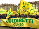 Coldiretti in piazza in un'immagine di repertorio - foto pagina fb coldiretti cuneo Coldiretti in piazza in un'immagine di repertorio - foto pagina fb coldiretti cuneo