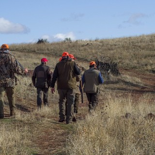 Fauna selvatica allo stremo dopo caldo, siccità e incendi: “Sospendere la caccia”
