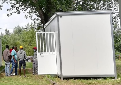 Braccianti morti nel Saluzzese, Coldiretti Cuneo: "Fatto intollerabile, sulla sicurezza serve una strategia strutturale" Braccianti morti nel Saluzzese, Coldiretti Cuneo: "Fatto intollerabile, sulla sicurezza serve una strategia strutturale"