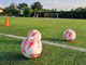 CALCIO ECCELLENZA / Ufficiali gironi e calendario 26/27: si parte domenica 6 settembre CALCIO ECCELLENZA / Ufficiali gironi e calendario 26/27: si parte domenica 6 settembre