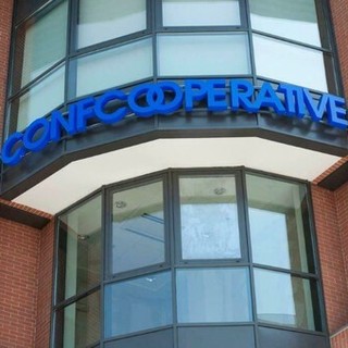 Confcooperative Piemonte, la parità di genere diventa misurabile: più donne ai vertici e certificazioni in crescita