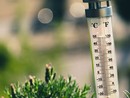 Temperature in aumento: nel week end attese massime sopra i 35° Temperature in aumento: nel week end attese massime sopra i 35°