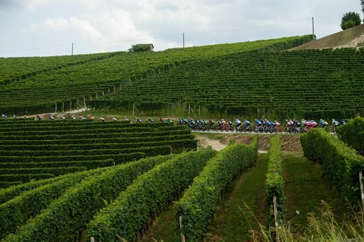 Ciclismo: svelato il percorso del GranPiemonte 2025, 179 km da Dogliani ad Acqui Terme