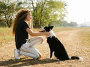 Bra: un percorso formativo per promuovere il benessere dei propri cani Bra: un percorso formativo per promuovere il benessere dei propri cani