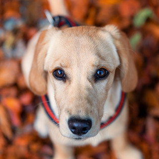 Foto di Valerio Minato