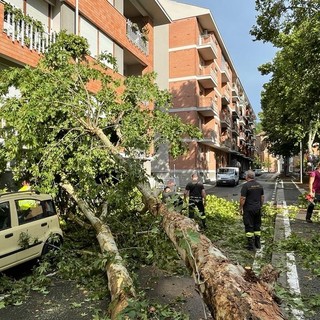 Immagine emblematica dei danni causati dal forte vento durante il temporale del 4 luglio ad Alba