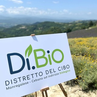 Mostra del Fungo: il Distretto del cibo Monregalese-Cebano racconta le bontà locali