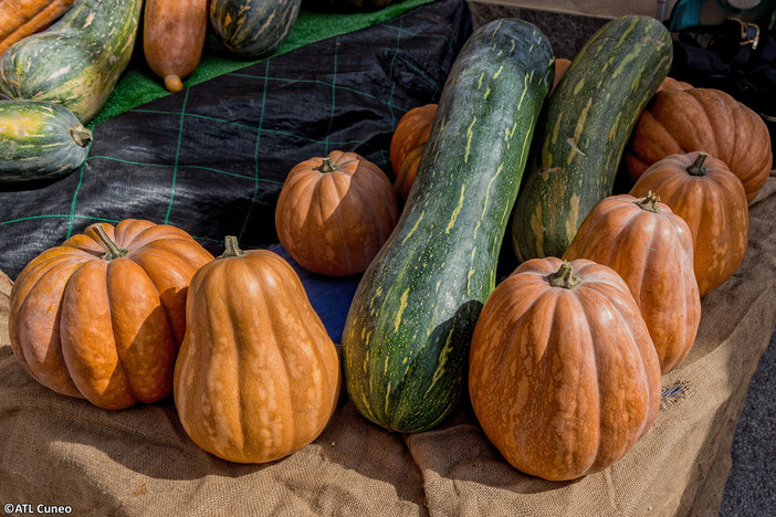 (foto - atl del cuneese)