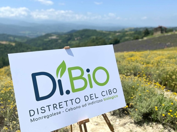 Mostra del Fungo: il Distretto del cibo Monregalese-Cebano racconta le bontà locali Mostra del Fungo: il Distretto del cibo Monregalese-Cebano racconta le bontà locali
