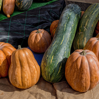 (foto - atl del cuneese)