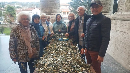 Volontari del Santuario a Bra, che preparano rami di ulivo Volontari del Santuario a Bra, che preparano rami di ulivo