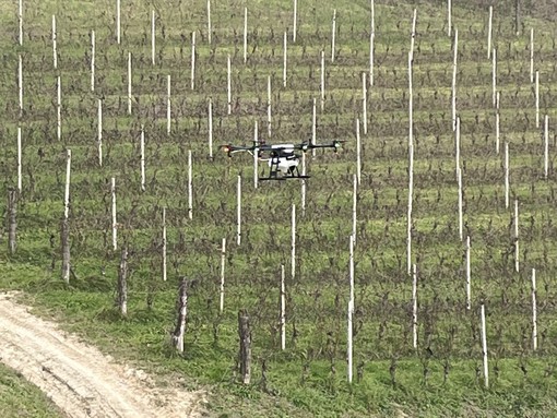 Immagine di repertorio