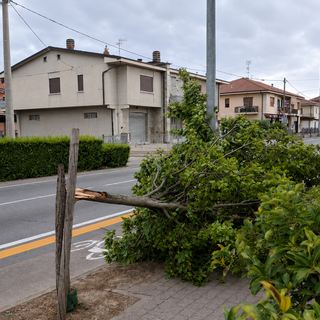 I danni causati dal maltempo nei giorni scorsi ad Alba