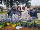 In foto alcune volontarie del Granello di Senape, a Bra In foto alcune volontarie del Granello di Senape, a Bra