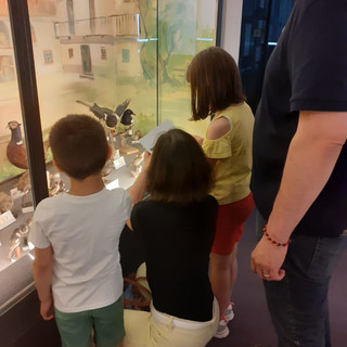 Domeniche di luglio al Museo Eusebio di Alba
