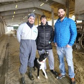 STORIE DI MONTAGNA 202 / Tre fratelli, una scelta di ritorno e un'azienda che è casa