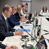 Il Piemonte al centro della Convenzione delle Alpi: Gallo illustra le politiche per la montagna