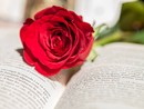 Il 23 aprile il Caffè Letterario di Bra celebra la Giornata mondiale del libro… e delle rose